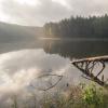 Утро на лесном озере :: Владимир Машко