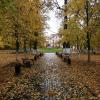 Осенний дождь в парке (9855) :: Виктор Мушкарин (thepaparazzo)