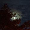Moon :: Katerina Shelehova