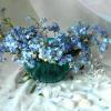 Голубые цветы. :: nadyasilyuk Вознюк