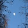 Растущая луна :: sm-lydmila Смородинская