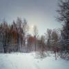 Зимний пейзаж :: Дмитрий 