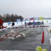 Турнир по зимнему плаванию. :: Егор Бабанов