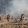 Тушение лесного пожара :: Иван Ермен
