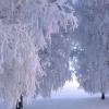 зима :: Анастасия Филиппова