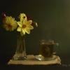 Чай с травами и цветы :: Виталий Стасов