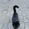 Almaty. :: Murat Bukaev 
