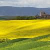 Val d&#39;Orcia :: Евгений Молодцов