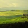 Val d&#39;Orcia :: Евгений Молодцов