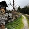 Italien Südtirol./Parco Naturale Vedrette di Ries-Aurina/ :: "The Natural World" Александер