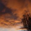 Отражение майского заката. :: сергей 