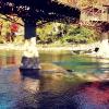 Дневной цвет реки  Бзыбь под стеклянным мостом :: Елена (ЛенаРа)