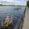 Москва-река в Братееве :: Oleg4618 Шутченко