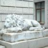 Скульптура льва в Санкт-Петербурге :: Танзиля Завьялова