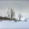Волга зимой :: vedin 