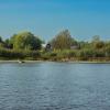 The village of Pakhotino from the side of the Sukhona River on a September day | 2 :: Sergey Sonvar