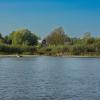 The village of Pakhotino from the side of the Sukhona River on a September day | 4 :: Sergey Sonvar