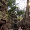 Камбоджа. Комплекс Ангкор Ват. :: Валерий Иванов