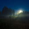 Лунная ночь :: Сергей Можаров