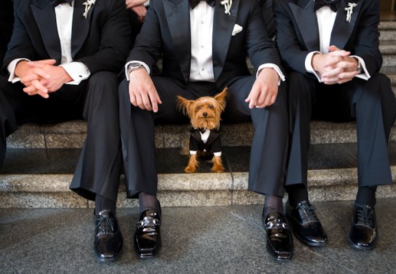 Джо Бьюссинк — самый дорогой свадебный фотограф в мире