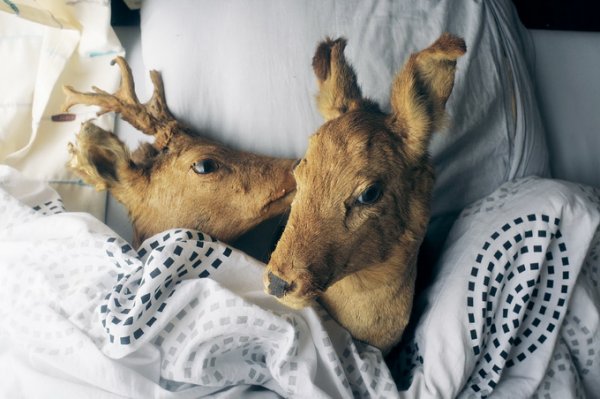 Фотограф Тео Госселин/Theo Gosselin