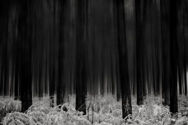 Фотограф Крис Фрель/Chris Friel