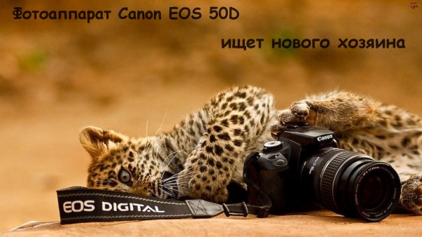 Продам Canon 50D