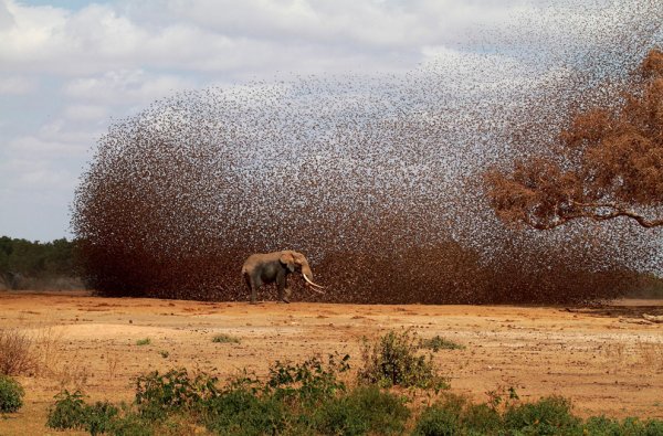 Фотоконкурс от National Geographic