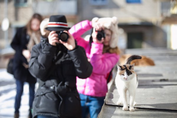 Фотопроект "Нерехта в субъективе" Детские фотографии.