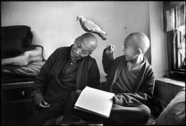 Классики фотографии. Martine Franck