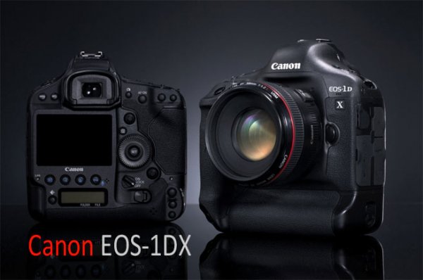 Подробный обзор Canon 1Dx