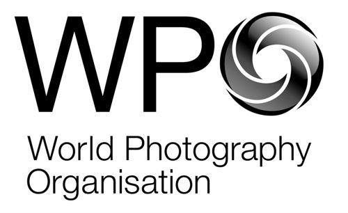 Фото конкурс «Sony World Photography Awards — 2013» объявлен открытым