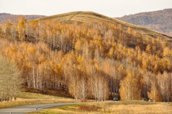 ТОП-20 фотографий за 13.11.2012 г.