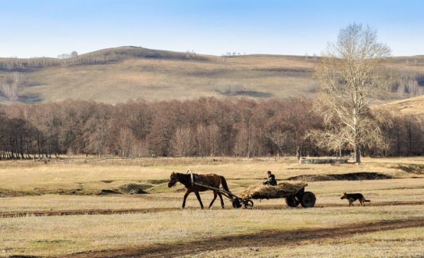 ТОП-20 фотографий за 18.11.2012 г.