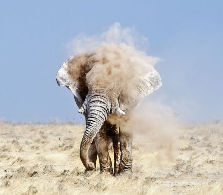 Участники фотоконкурса от National Geographic