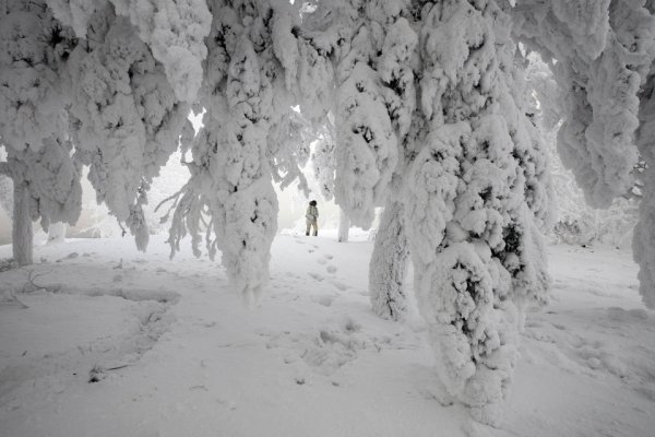 Новости в фотографиях за 24 декабря