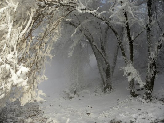 ТОП-20 фотографий за 26.12.2012 г.