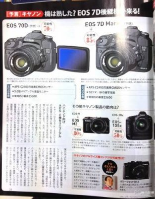 Прогнозы на 2013 - Canon 1DSx / 70D / 7D Mark II и Nikon D4X / D7200 / D9000