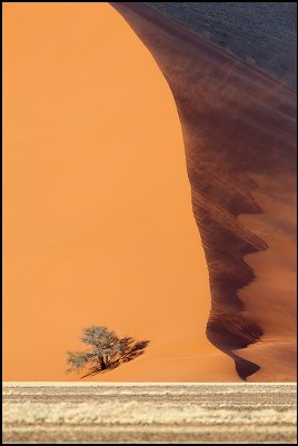 Подборка самых оригинальных фото дня с фото.сайта