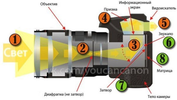 Полезная информация: