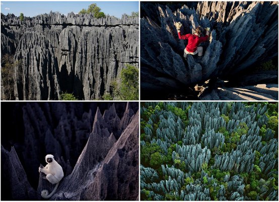 Загадочный каменный лес на острове Мадагаскар