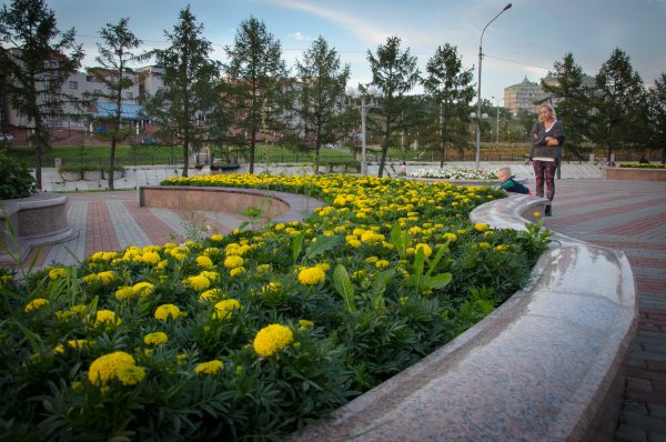 какой фотоаппарат купить?..