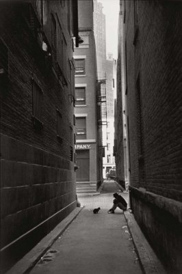 Цитата. Henri Cartier-Bresson