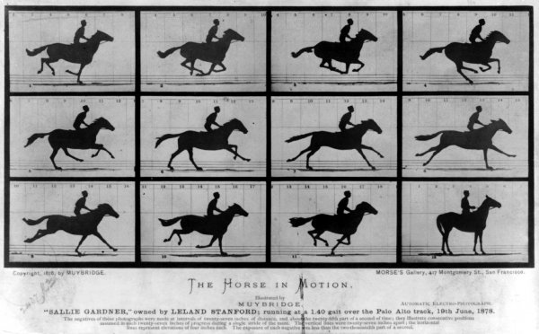 История фотографии. «Фотодром» Эдварда Мейбриджа, или отрывает ли ноги лошадь от земли во время бега