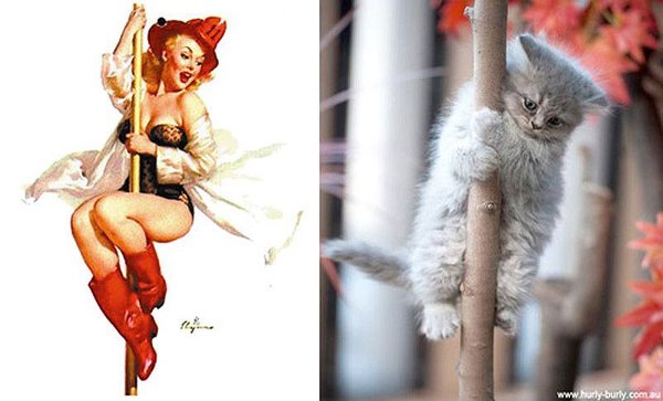 Фото юмор про кошек и девушек пин-ап!