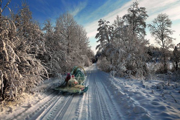 ТОП-20 фотографий за 25.12.2013 г.