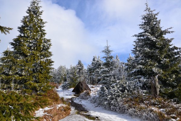 ТОП-20 фотографий за 10.02.2014 г.