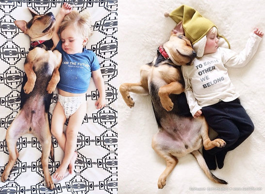 Милые дети и собачки - новый тренд Instagram