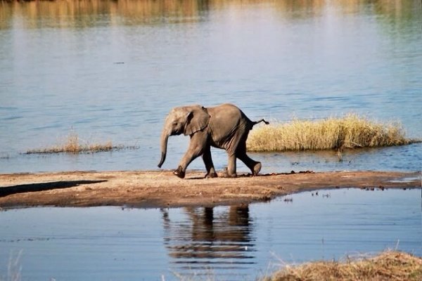 Самые известные национальные парки Африки