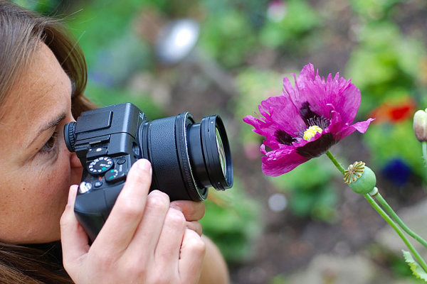 Топ-10 советов для фотографов-флористов